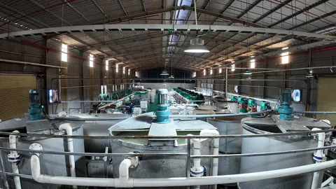 Molded pulp production at the Vietnam Affiliated Molded Pulp Factory
